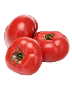 Помидор