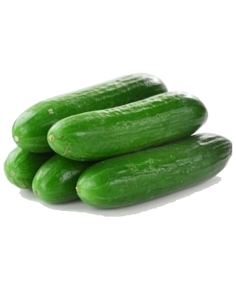 Огурец